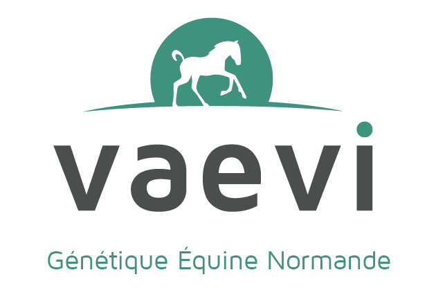 Vaevi