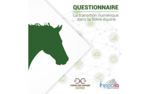 chevaux-normandie_questionnaire-transition-numerique